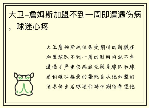 大卫-詹姆斯加盟不到一周即遭遇伤病，球迷心疼